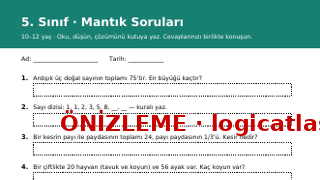 5. Sınıf Mantık Soruları ücretsiz çalışma kağıdı önizleme