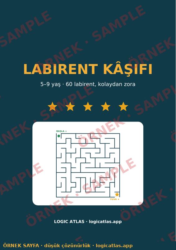 Maze Explorer — low-resolution watermarked preview