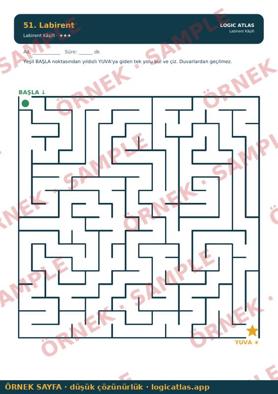 Maze Explorer — low-resolution watermarked preview